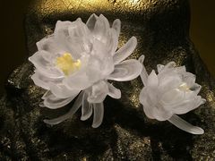 -上海琉璃艺术博物馆