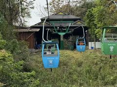 -野象谷景区