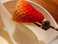 -揽季锅物会.福建黄鱼.海鲜姿造(五四路店)
