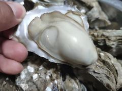 -老谭虾王蟹皇·龙虾·烧烤(蝴蝶湾店)