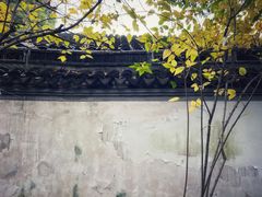 -秋霞圃