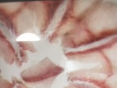 -颜氏双江清水鱼一养身火锅(磁器口店)