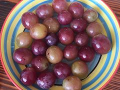 -乡乐园蟹庄·阳澄湖农家乐