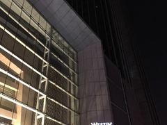 -天津君隆威斯汀酒店