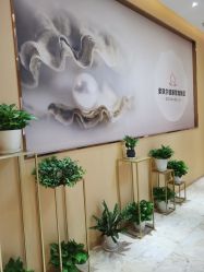-紫琪尔胸部养护中心