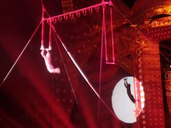 -珠海横琴长隆《卡卡虎奇遇记》