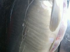 -七恭冒菜(工农村店)