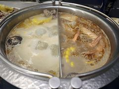 花胶鸡汤锅-一绪に寿喜烧(荟聚店)