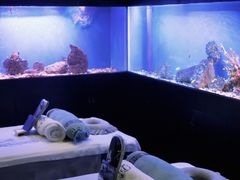 -避尘 Bsense·SPA(新会展总店)