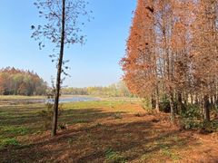 -溱湖国家湿地公园