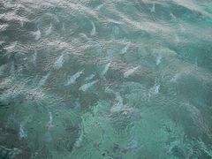 -蓝湾海滩