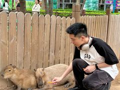 -灵玲国际马戏城