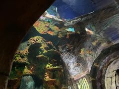 -长鹿旅游休博园
