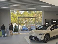 -上海浦东smart汽车全功能店(金桥店)