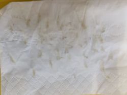 -洗脸猫·洗脸吧