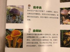 -太婆天府山珍酒楼(亚运村店)