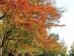 -莫干山风景区