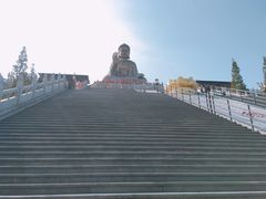 -龙口南山旅游景区
