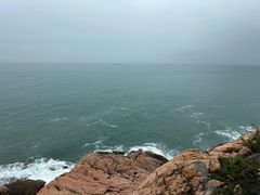 -广东惠东海龟国家级自然保护区