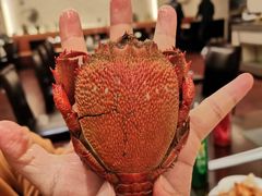 -无锡日航饭店