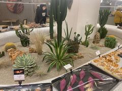 -OUR Bakery(SKP-S店)