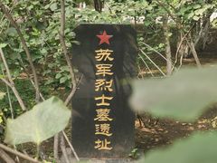 -哈尔滨文化公园