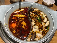 -青瓷火锅料理(西单大悦城店)