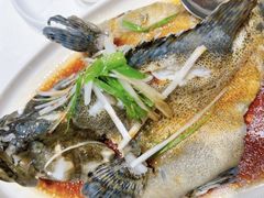 -万龙洲海鲜(南新仓店)