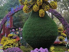 -杭州植物园
