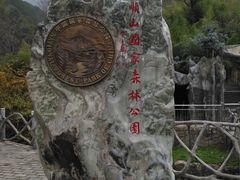 景区名-王顺山国家森林公园