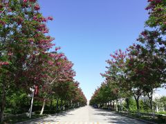-山东大学(威海校区)