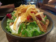 库迈鸡肉沙拉-Q MEX 库迈墨西哥餐吧(三里屯店)