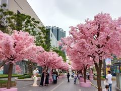 -东莞松山湖万象汇