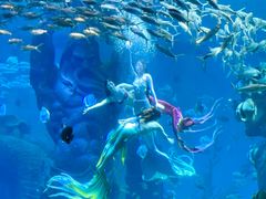 -波塞冬海底世界