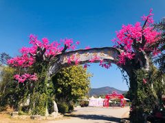 -天适樱花悠乐园