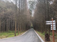 -同里国家湿地公园