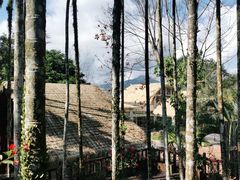 -七仙岭温泉国家森林公园