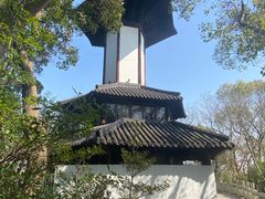 -上海佘山国家森林公园天马山园