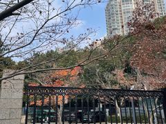 -苏州河梦清园环保主题公园