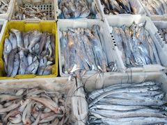 -芦潮港集贸市场