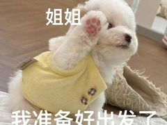 -汉唐宴长安食府