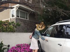 -卡梅尔海