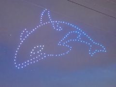 -海昌极光餐厅