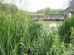 -苏州河梦清园环保主题公园