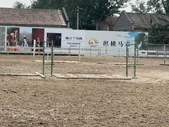 -北京群众马术培训基地