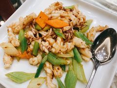 葱姜炒鱿鱼-快乐海鲜城(虎泉街店)