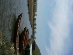 -白渔泡湿地公园