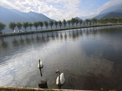 -大九湖