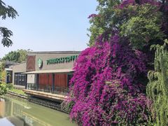 -铁像寺水街