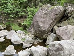 -洛阳白云山景区